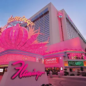 אתר נופש Flamingo Vegas & Casino